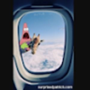 Meet your Posher, Benjamin